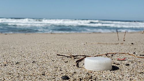 Iniziativa Legambiente pulizia della spiaggia